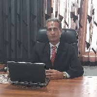 مرتضی محمدحسنی